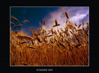 /album/gettin-lost-/summera-jpg/