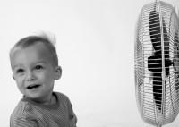 /album/portraits/wind-jpg/