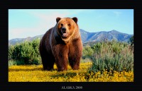 /album/nature/alaska1a-jpg/
