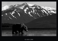 /album/nature/alaskaa-jpg/