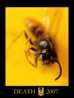 /album/nature/deatha-jpg/