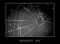 /album/nature/net2002-jpg/